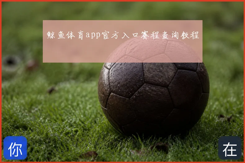 鲸鱼体育app官方入口赛程查询教程